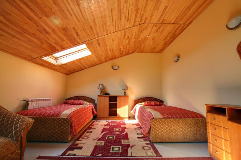 Large Twin Room image 3