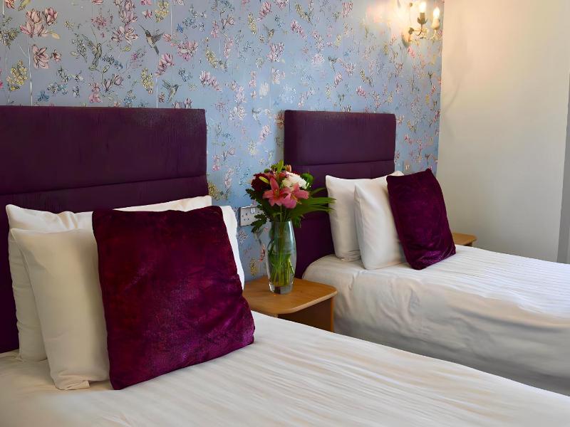 The Star Hotel - image 13