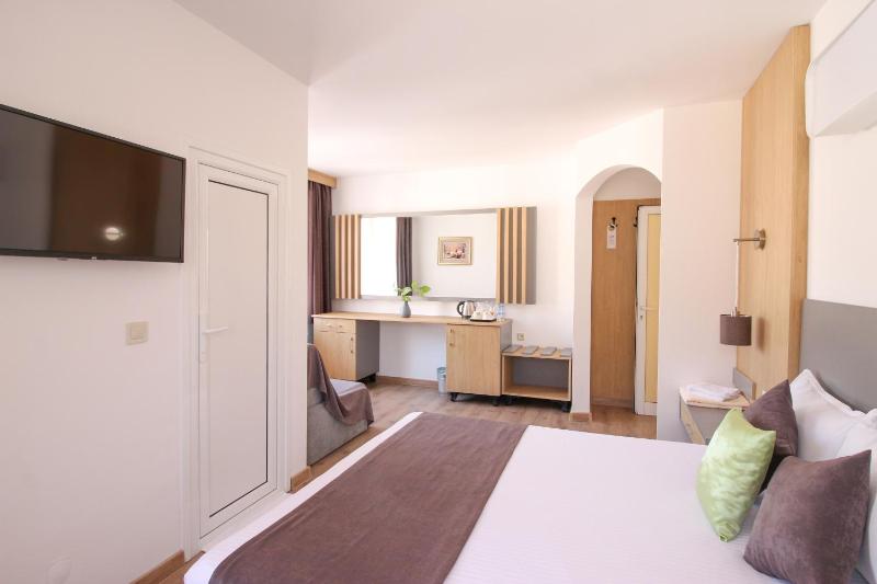 Deluxe Double Room (2 Adults + 1 Child) image 1