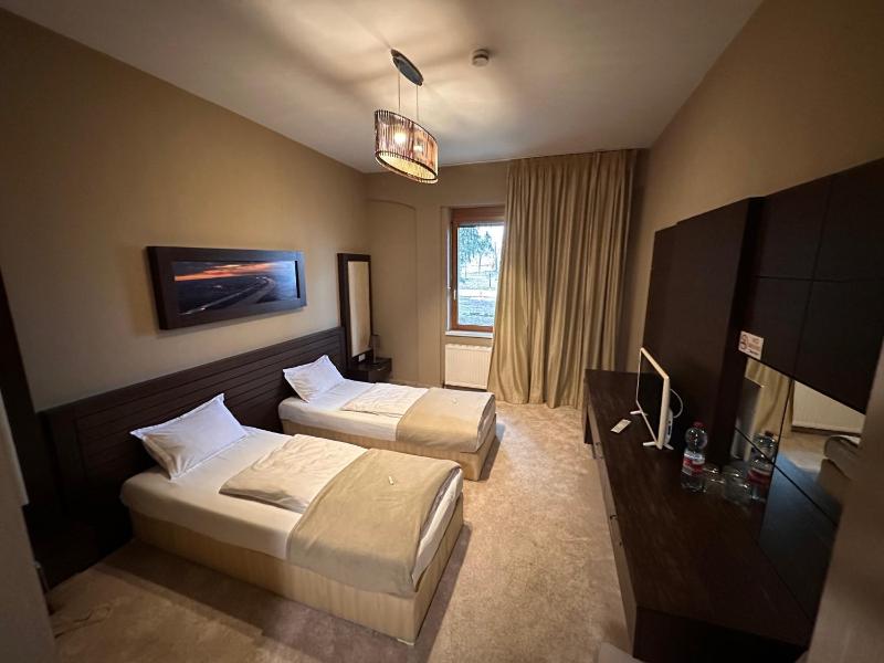 Standard Twin Room image 2