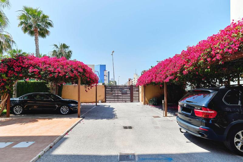 Seaside apartment Cabo Roig - image 16