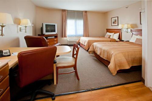 Studio Suite image 4