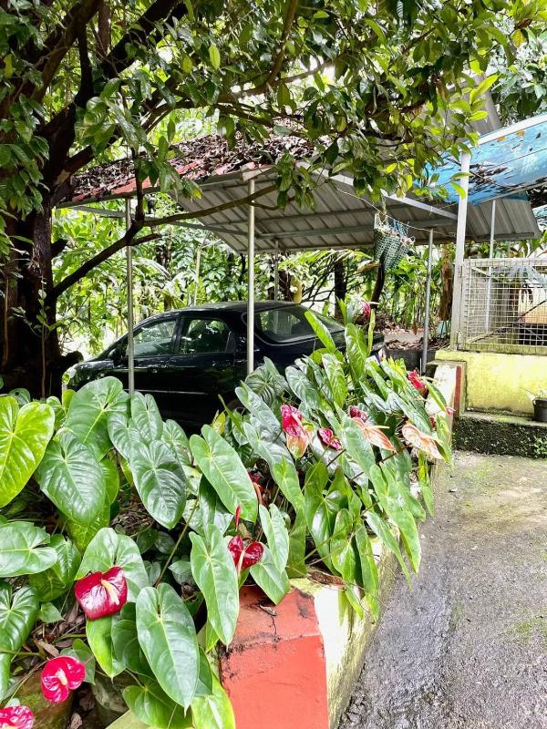 Villa Abu Sulthan - Garden Farm House - image 2