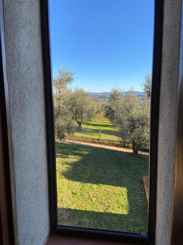 CasaLeTolfe Residence - image 12