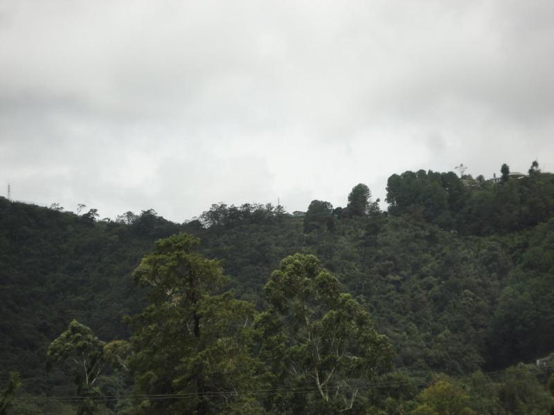 Srihelyes Inn - image 32