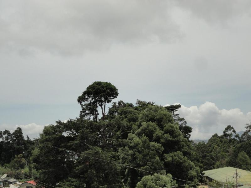 Srihelyes Inn - image 45