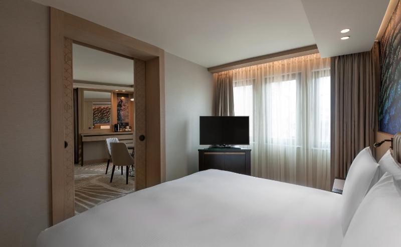 Deluxe King Suite image 2