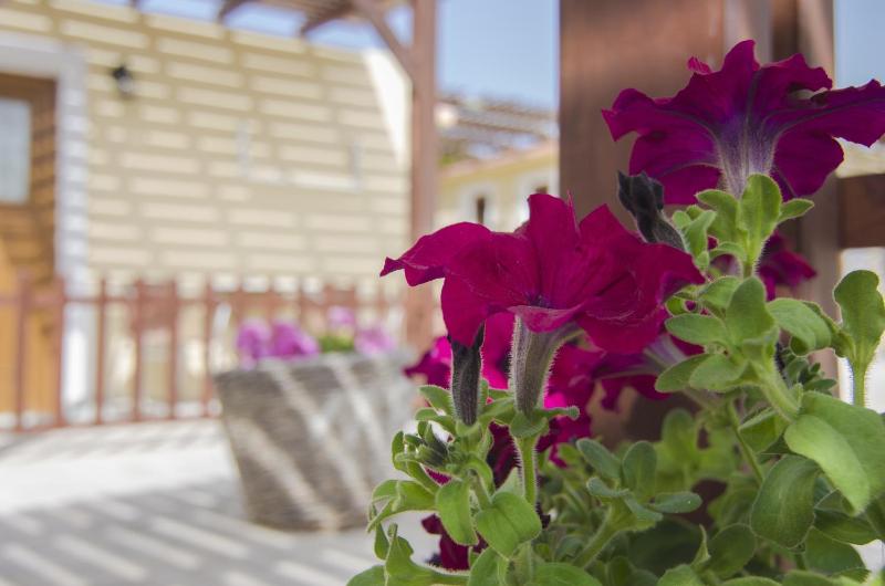 Standard Room image 2