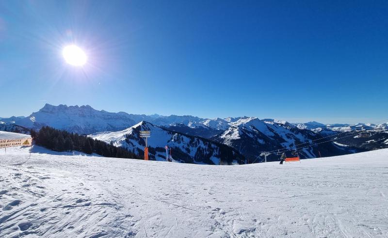 Les Chalets du Petit Châtel - Alp'in C - image 33