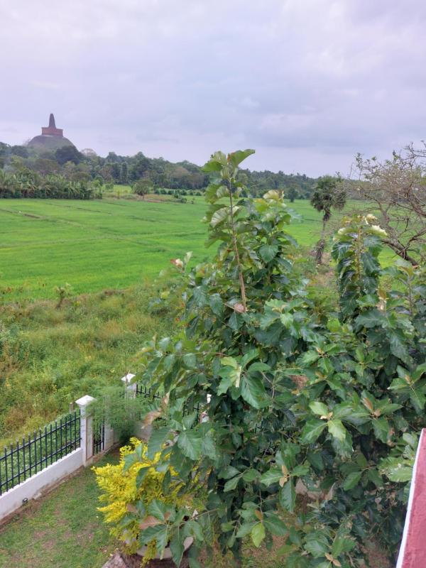 Green Shield Resort - image 12