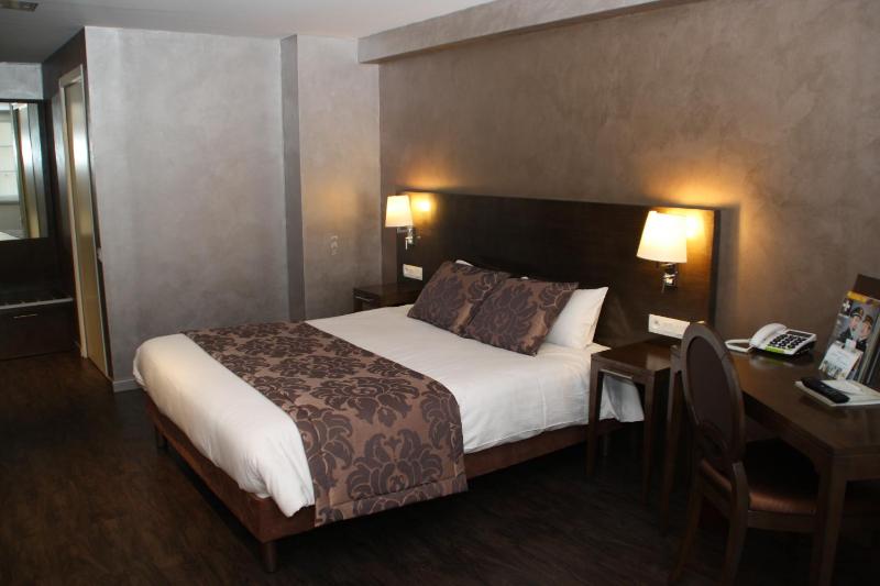 Hotel De Guise Nancy Vieille Ville - image 7