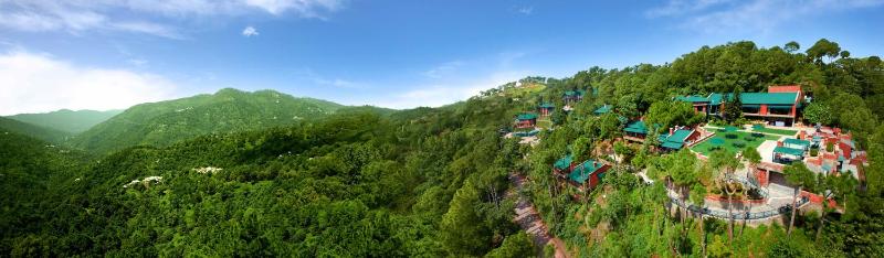 Baikunth Resort Kasauli by Leisure Hotels - image 17