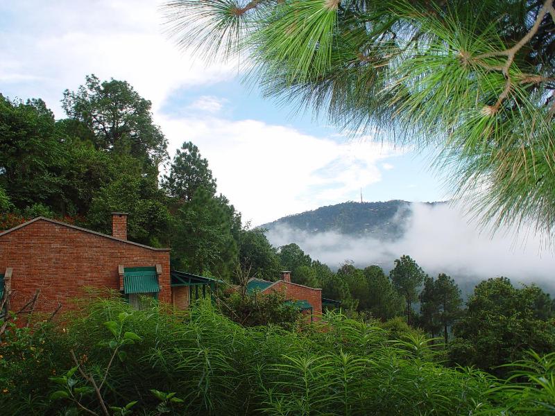 Baikunth Resort Kasauli by Leisure Hotels - image 43