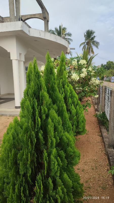 Laxsume Guest House Nilaveli - image 19