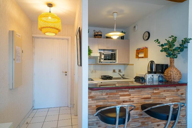 Heliodore - Appartement terrasse - image 9