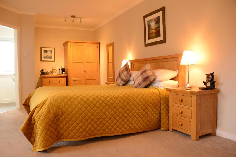 Deluxe King Suite image 2