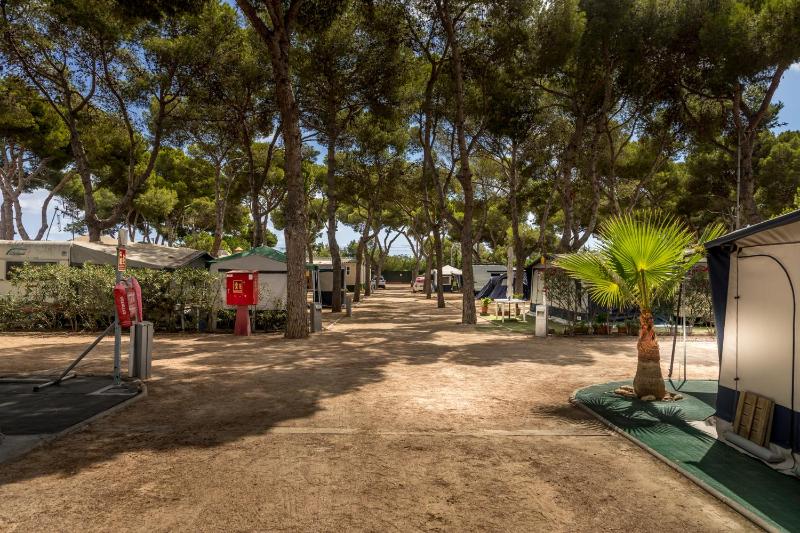 Empty Lot (Bring your Tent or Caravan) image 1