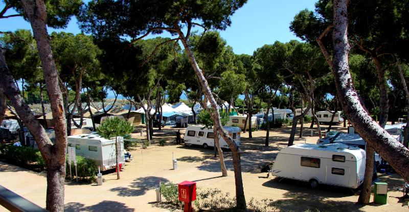 Empty Lot (Bring your Tent or Caravan) image 3