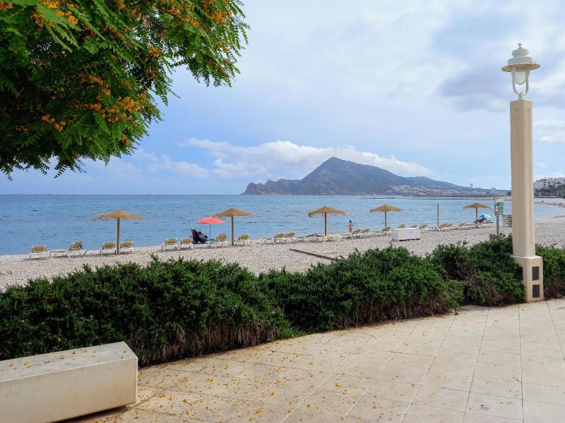 Altea Olivos G - image 3