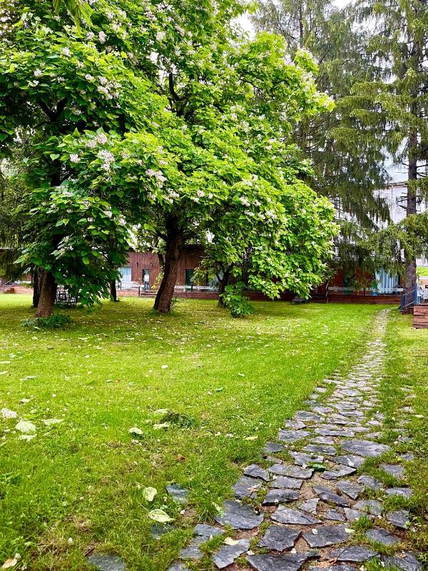 Bungalow with Garden View image 3