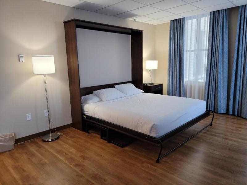 Deluxe King Suite image 1