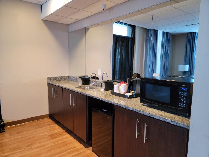 Deluxe King Suite image 4