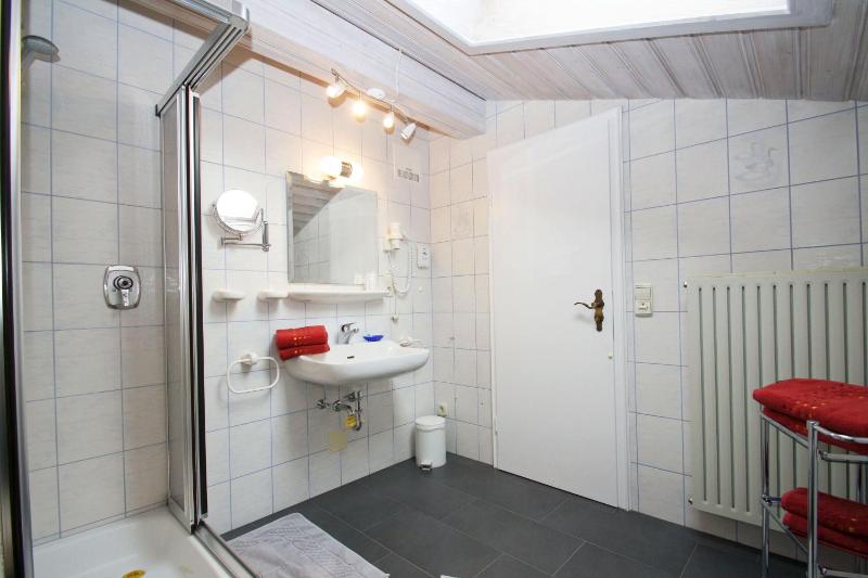 One-Bedroom Apartment image 3