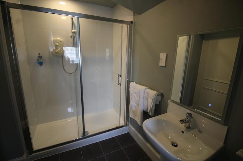 Deluxe King Room image 4