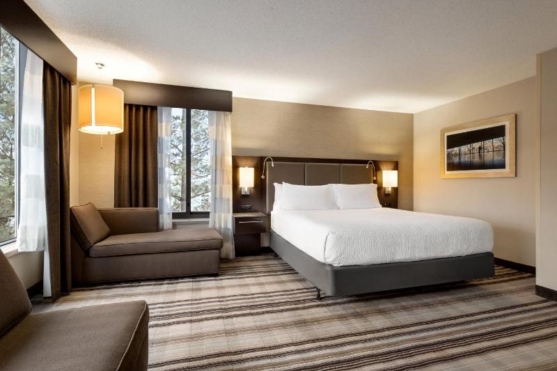 Junior King Suite image 1