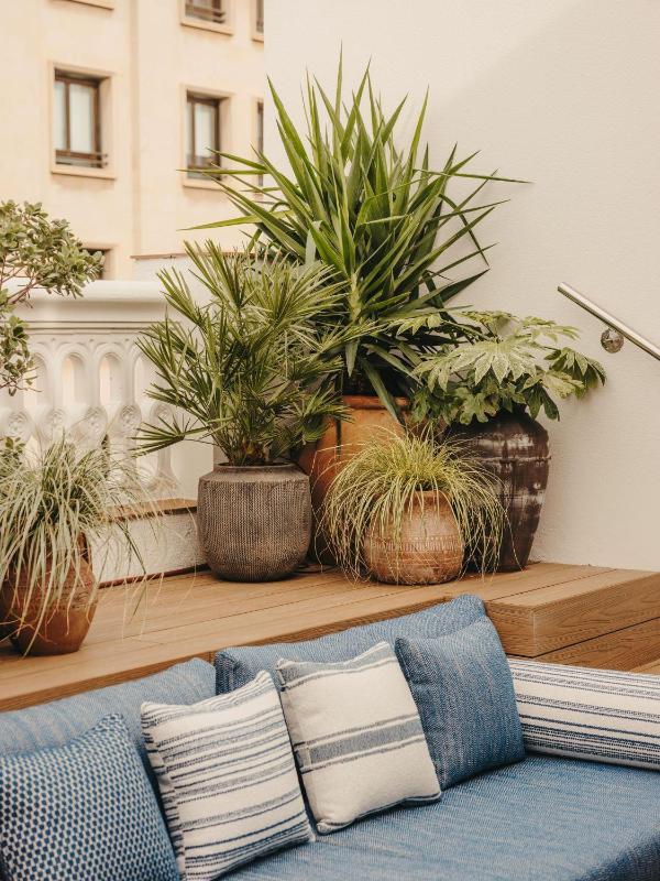 Suite (1-2 Adults) image 2