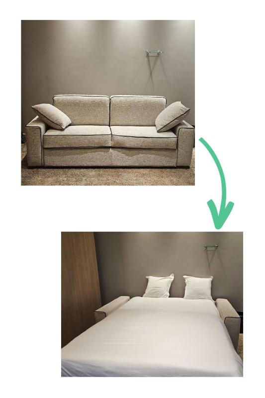 Family King Room with Sofa Bed - Separate Building image 4