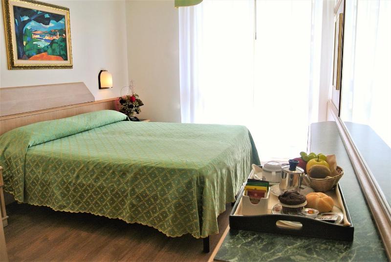 Double or Twin Room image 1