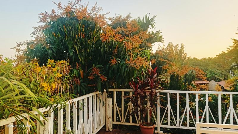 Homestay Yellow Natural House - image 3