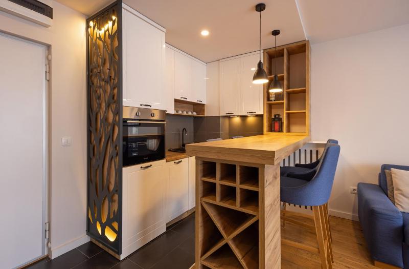 One-Bedroom Apartment image 4