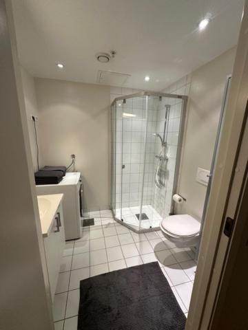 One-Bedroom Apartment - Nedre Holmegate 9B image 4