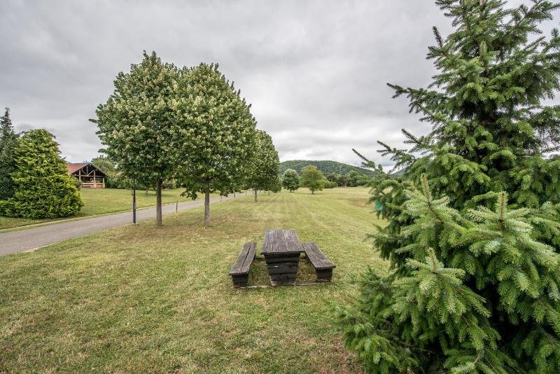 One-Bedroom Chalet with Sauna image 2