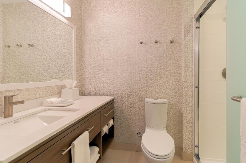King Studio Suite image 3