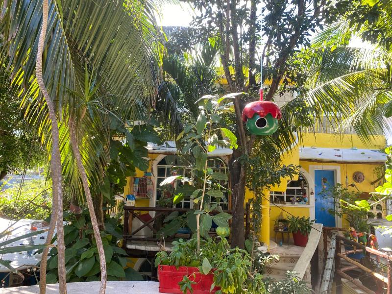 Maison Tulum - image 37