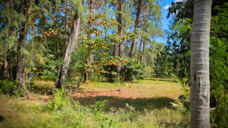 Hippy Trail Beach Village Bungalows - image 31