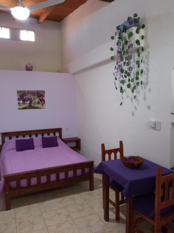 Violeta Monoambiente - image 20