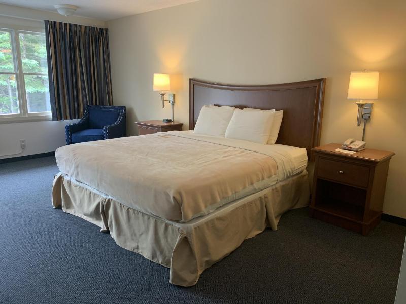 Standard King Room image 3