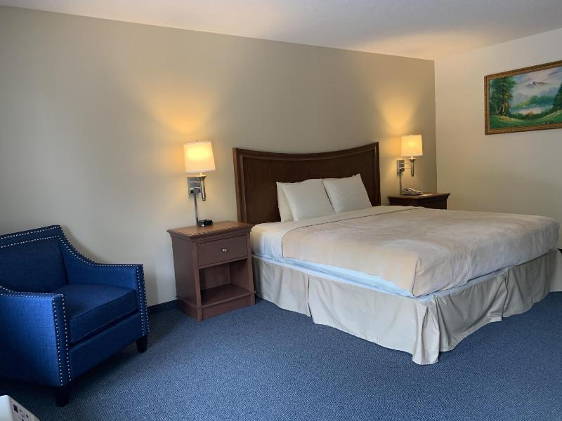 Standard King Room image 2