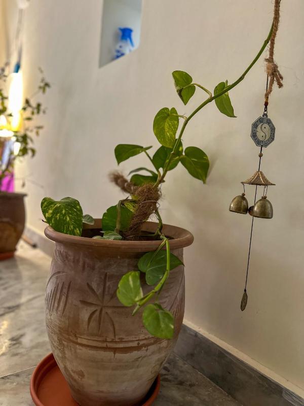 Leela Hatha - image 12