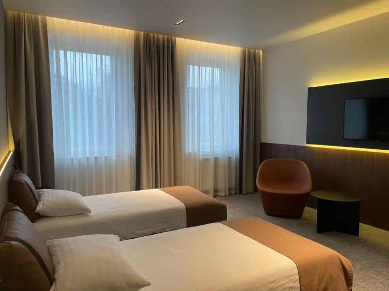 Large Twin Room image 4