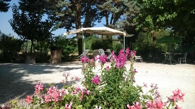 Agriturismo La Cantina VIA CAMPIGLIONE DI ASSISI - image 9