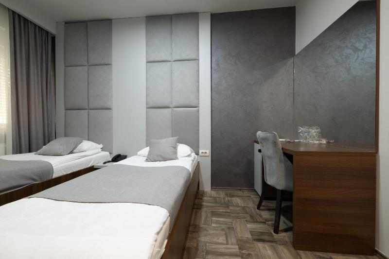 Deluxe Twin Room image 3