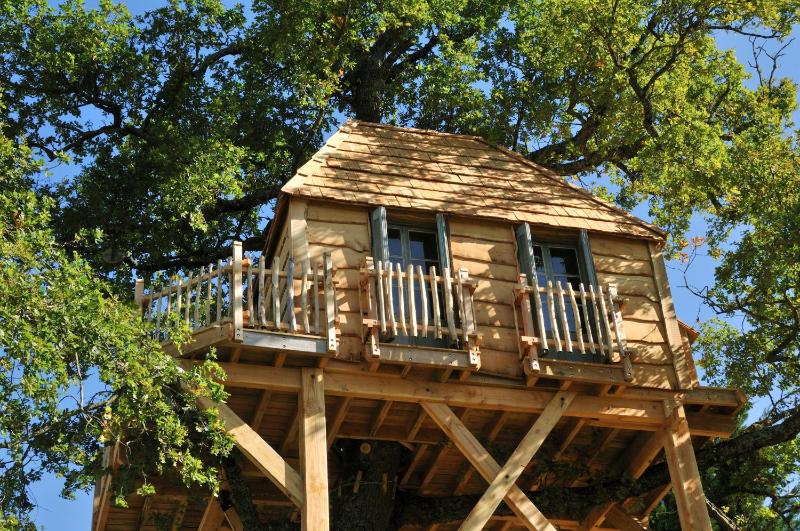 Tree House image 4