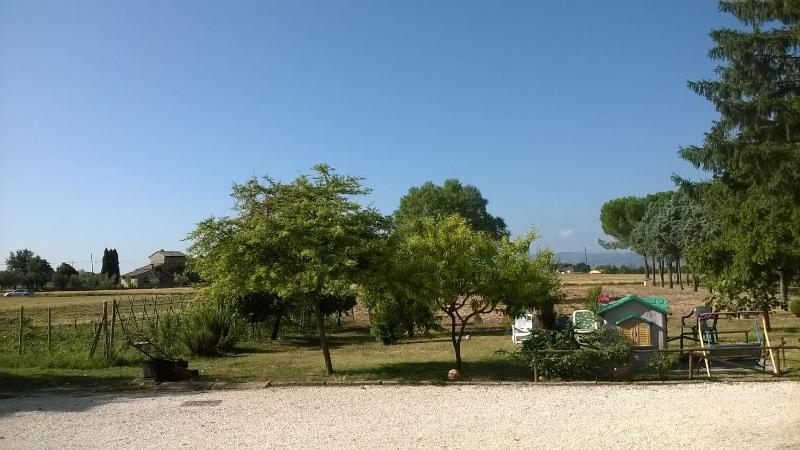 Agriturismo La Cantina VIA CAMPIGLIONE DI ASSISI - image 23