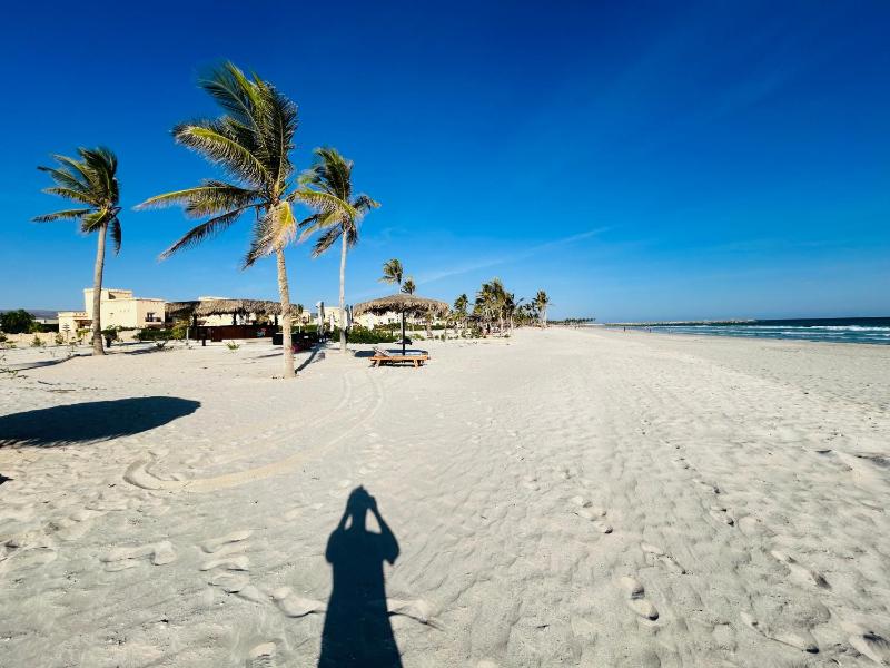 1-Bedroom on Forest Island & Oceanside View - image 13