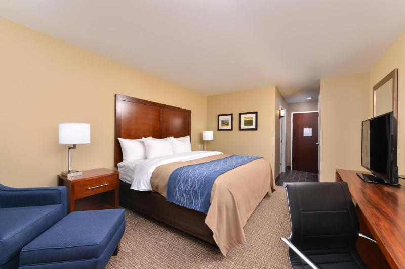 King Room - Non-Smoking image 4
